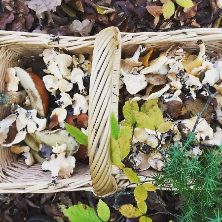 度假居 Tanagra : Maison Avec Piscine Et Vue Exceptionnelle *