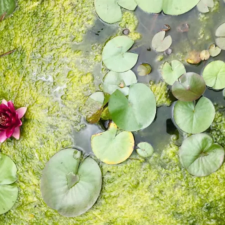 Tanagra : Maison Avec Piscine Et Vue Exceptionnelle 度假居
