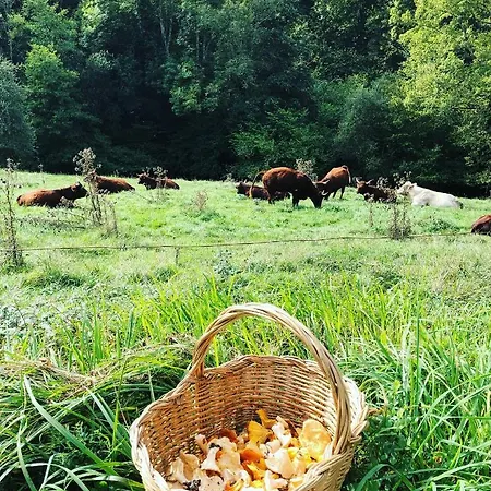 度假居 Tanagra : Maison Avec Piscine Et Vue Exceptionnelle *