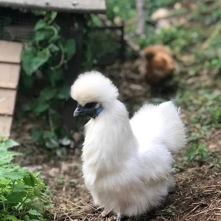 Tanagra : Maison Avec Piscine Et Vue Exceptionnelle 度假居 Roquefort-Les-Cascades