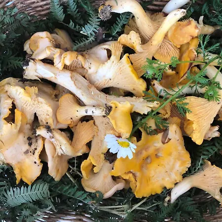 Tanagra : Maison Avec Piscine Et Vue Exceptionnelle 度假居